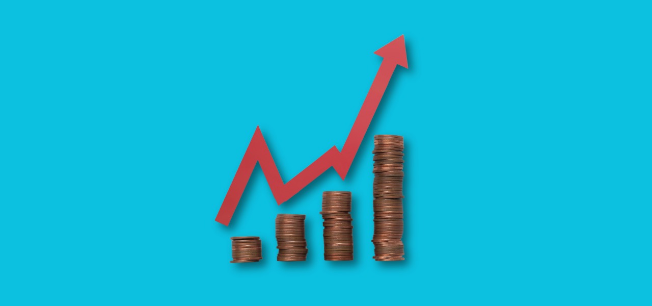 What Drives the Cost in turkey